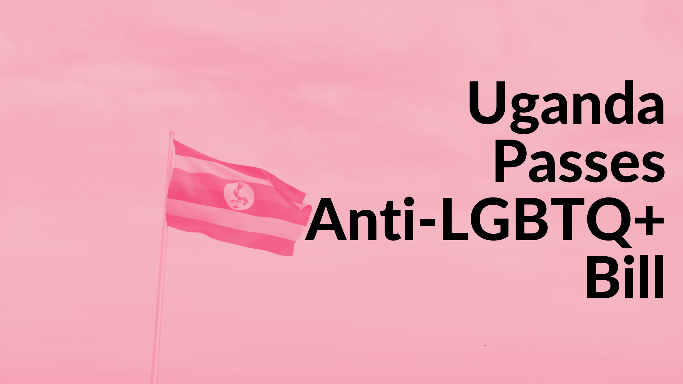 Text "Uganda Passes Anti-LGBTQ+ Bill" against a background of a Ugandan flag blowing in the sky but all the colours have been adjusted to shades of Pink